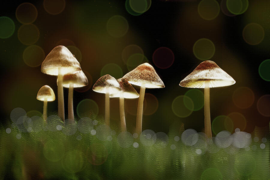 Fairy Lights- Glowing Mushrooms with Bokeh  Mixed Media by Shelli Fitzpatrick
