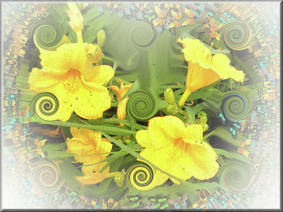 Day Lilies - Fairy Lilies Photograph
