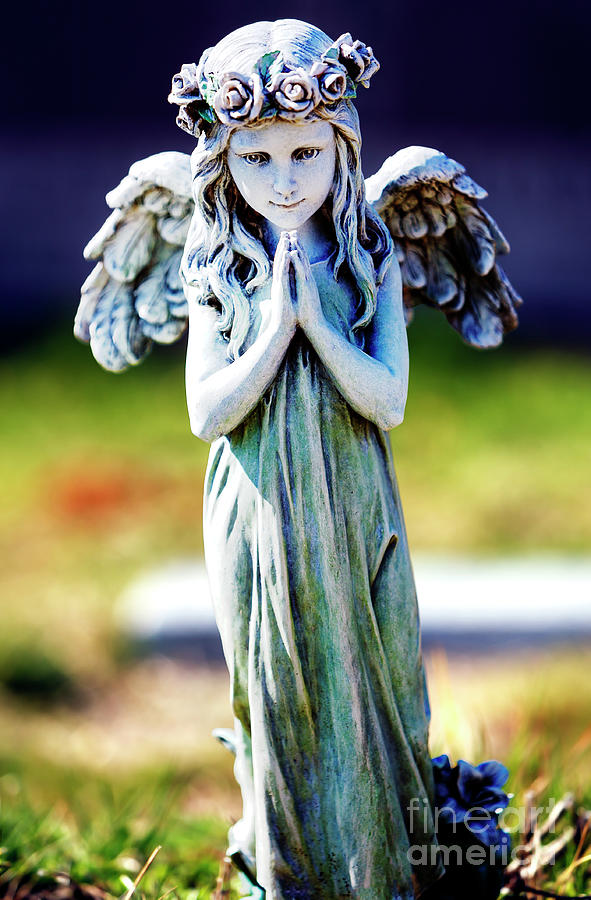 Fairy Prayers in New Jersey Photograph by John Rizzuto
