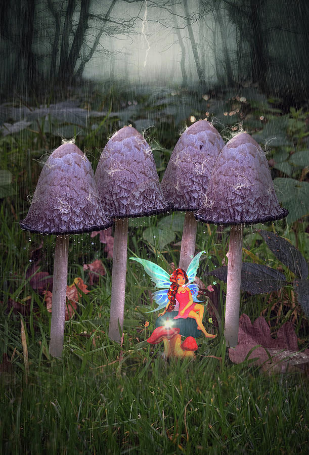 Fairy Shelter From The  Rain Digital Art by Brian Wallace