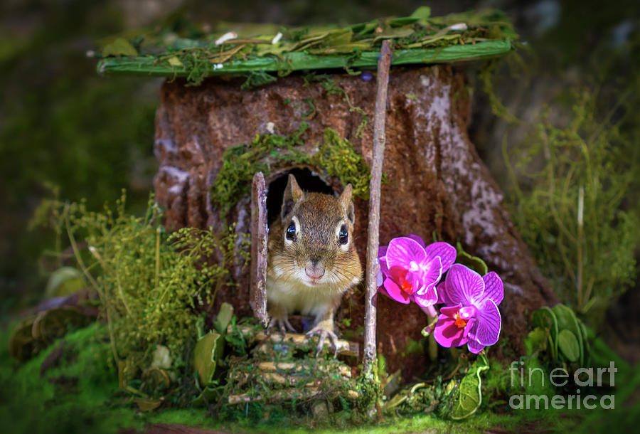 Fairy tree chipmunk Photograph by Darya Zelentsova