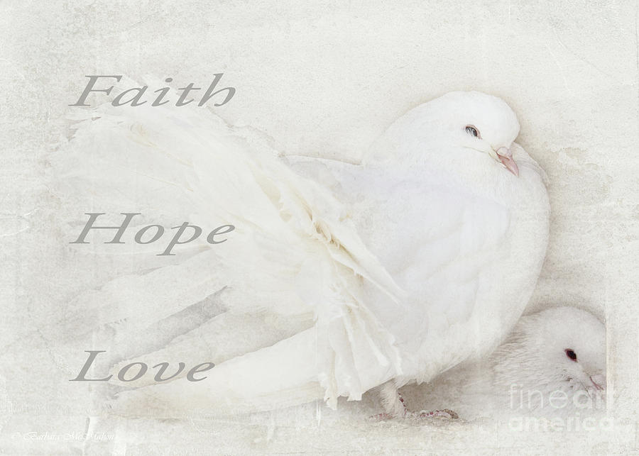 Faith Hope Love Photograph by Barbara McMahon