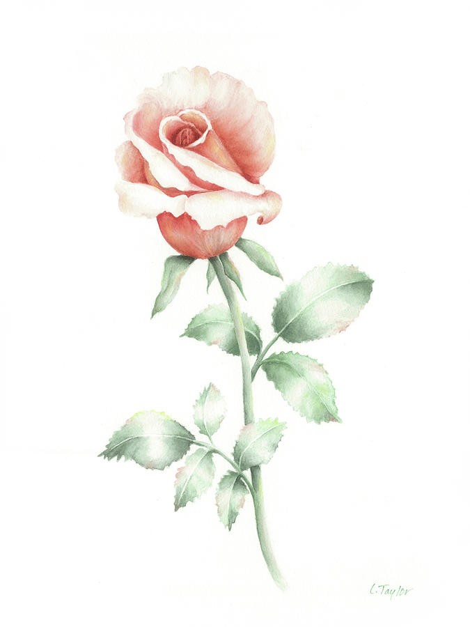 Rose Painting - Faith by Lori Taylor