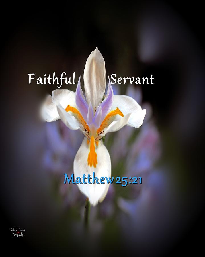 Faithful Servant Photograph by Richard Thomas