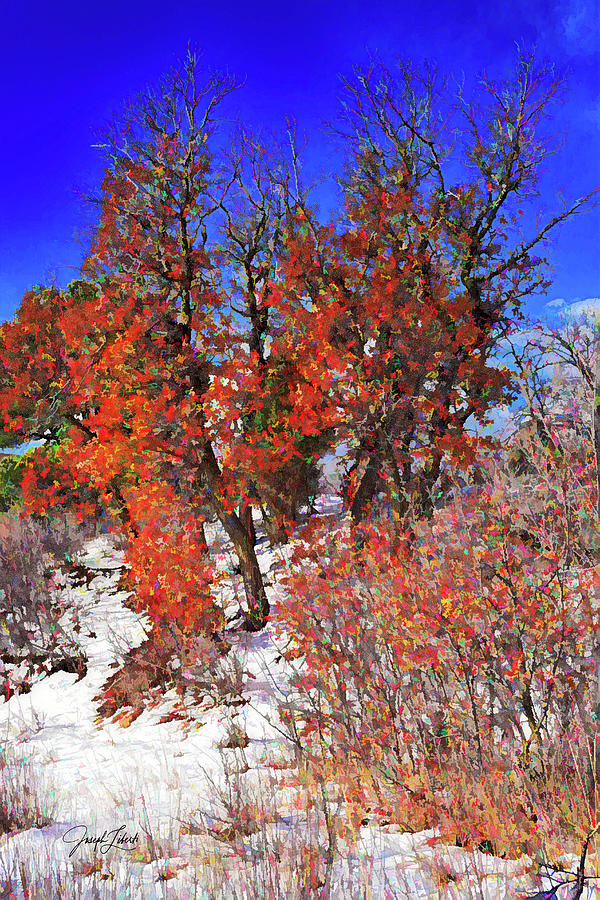 Garden Of The Gods Digital Art - Faithful_Flame_20210315 by Joseph Liberti Garden Of The Gods Digital Art - Faithful_Flame_20210315 by Joseph Liberti
