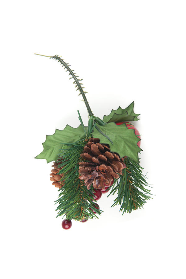 Fake Spruce cones on a spruce branch, Christmas decorations. Photograph by Pixtural