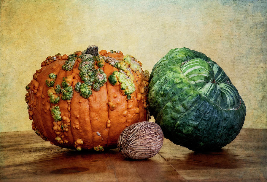 Pumpkins  Photograph by Sandra Selle Rodriguez