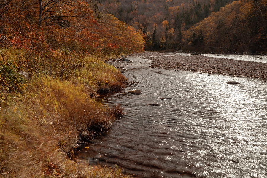Fall along the banks of the Cheticamp River Photograph by Irwin Barrett