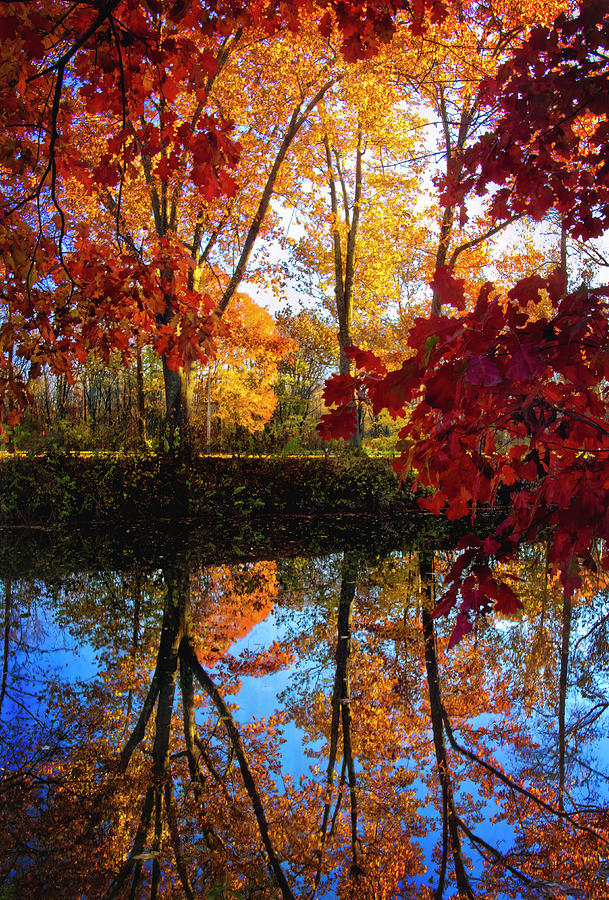 Fall along the Creek Bank Photograph by Carolyn Derstine