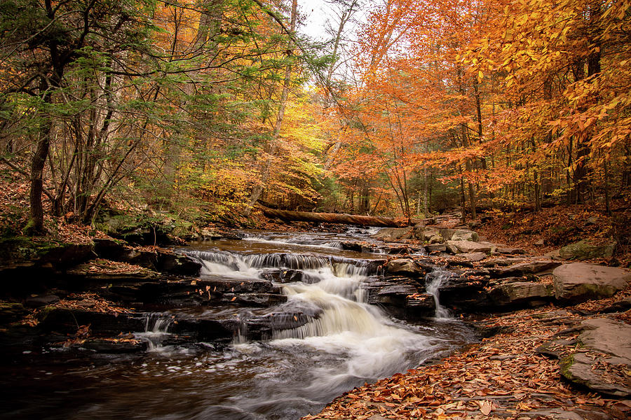 Fall Along the Glen Leigh Photograph by Rose Guinther
