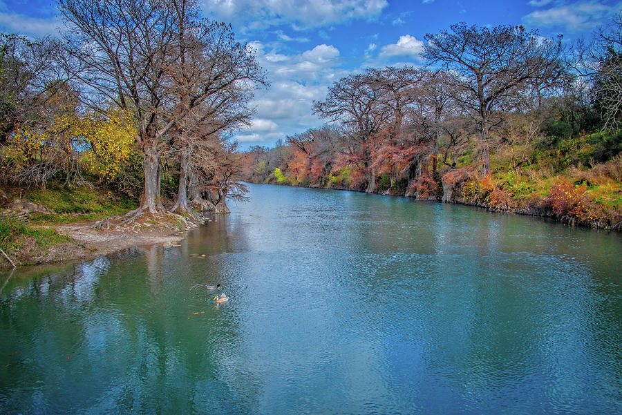Fall Along the Guadalupe  Photograph by Lynn Bauer