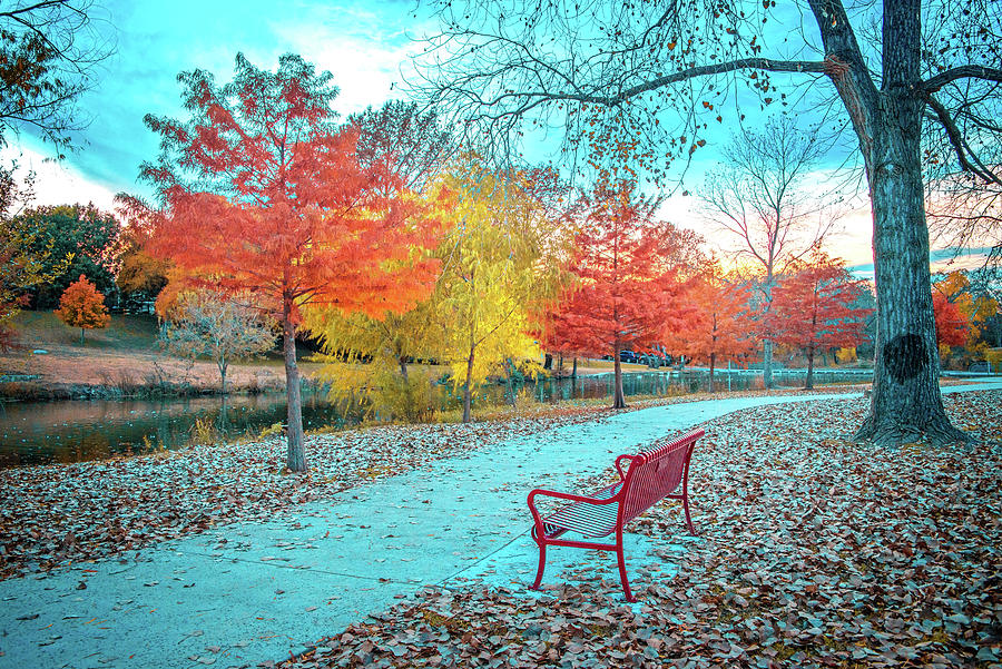 Fall Along the Riverwalk Photograph by Lynn Bauer