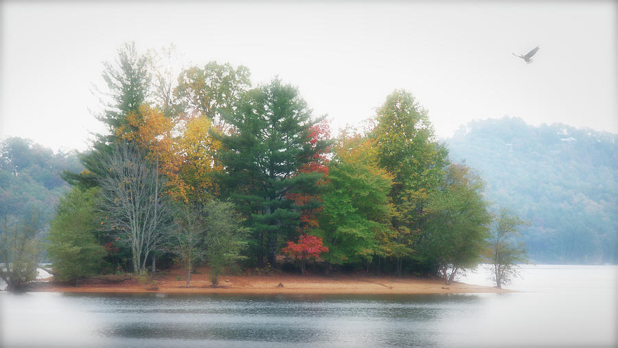 Fall And Fog, Lake Glenville, North Carolina Photograph