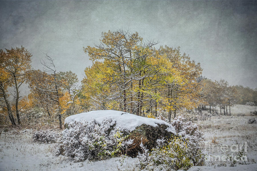 Fall and Winter Photograph by Lynn Sprowl