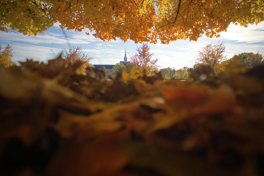 Fall Apart by Daniel Brinneman Fall Apart by Daniel Brinneman
