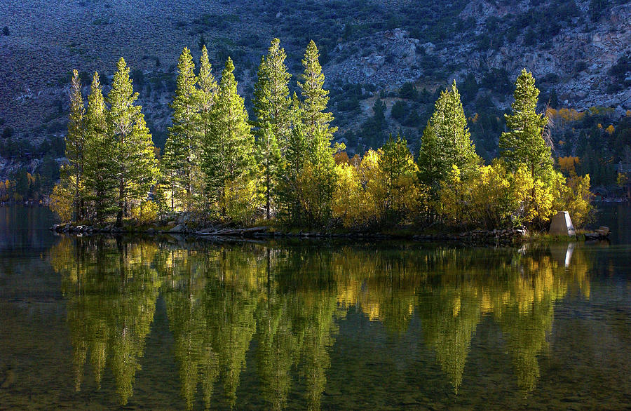Dawn - Fall Aspen Reflections - Silver Lake - June Lake Loop - Eastern Sierra Photograph by Bonnie Colgan