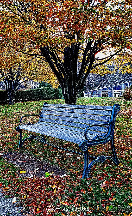Fall at Bench Photograph by Geoffrey Settles