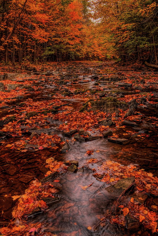 Fall At Big Sandy Creek Photograph by Dale Kauzlaric