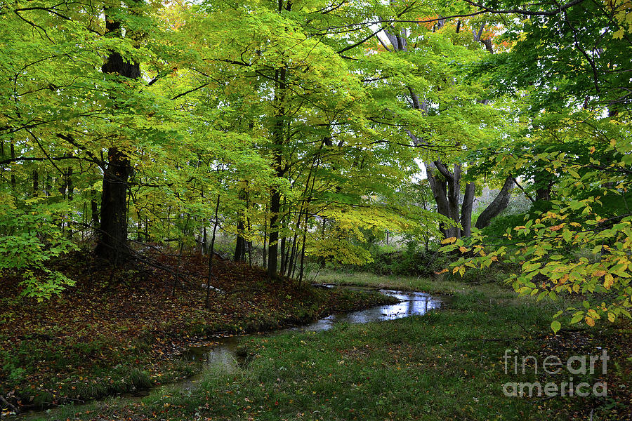 Fall at Chippewa Run Creek  Photograph by Amy Lucid