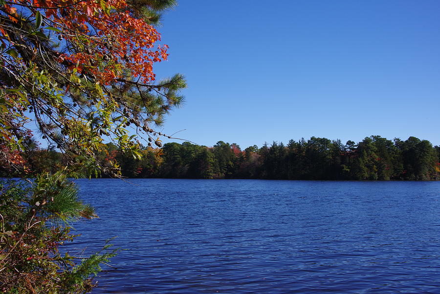 Fall at East Creek Pond Photograph by Greg Graham