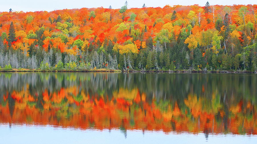 Fall Photograph - Fall at Hare Lake by Tom Halseth