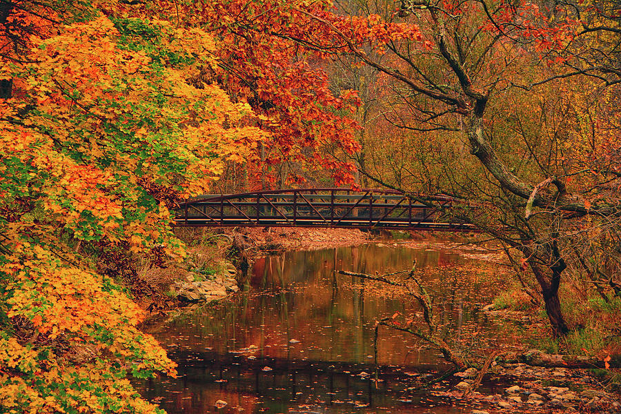 Fall at Jacobsburg State Environmental Center Bridge Photograph by Raymond Salani III