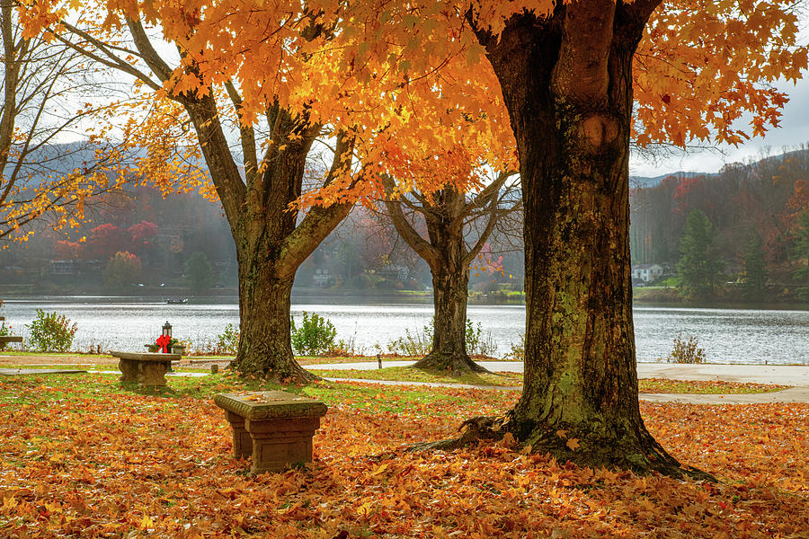 Fall at Lake Junaluska Photograph by Robert J Wagner | Fine Art America