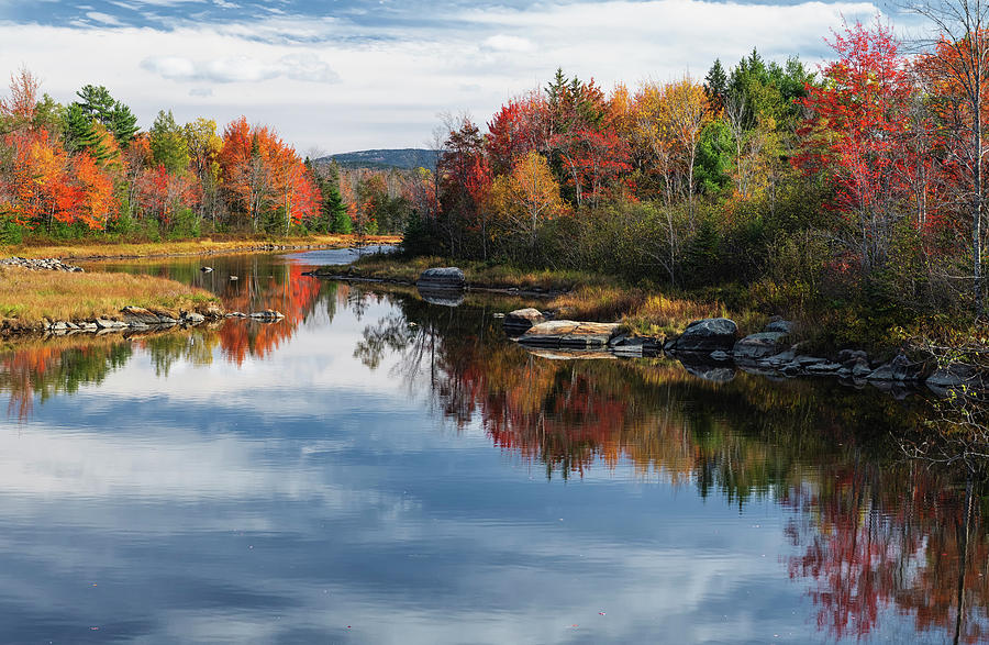 Fall at Northeast Creek Photograph by Dennis Kowalewski