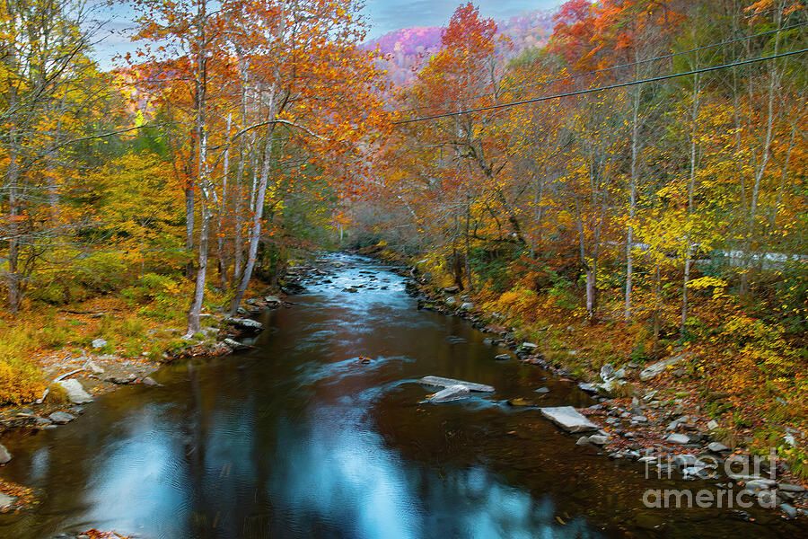 Fall at Ravens Fork Creek, NC Photograph by Barbara Bowen