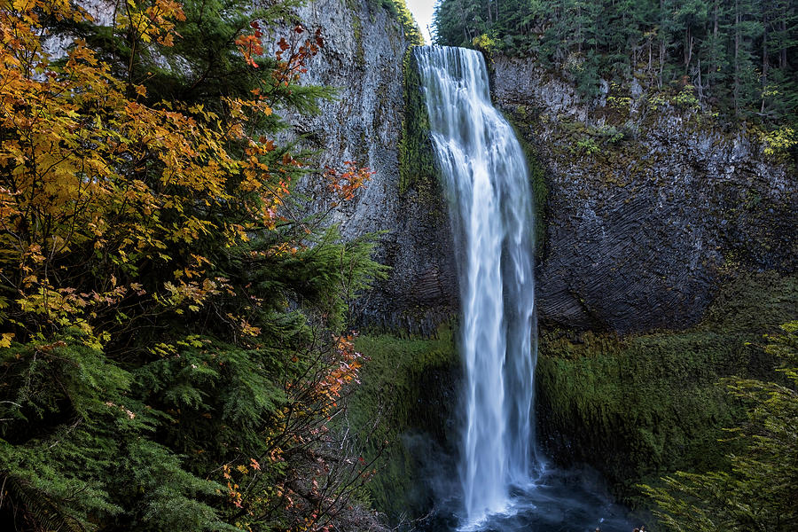 Fall at Salt Creek Falls, No. 2 Photograph by Belinda Greb