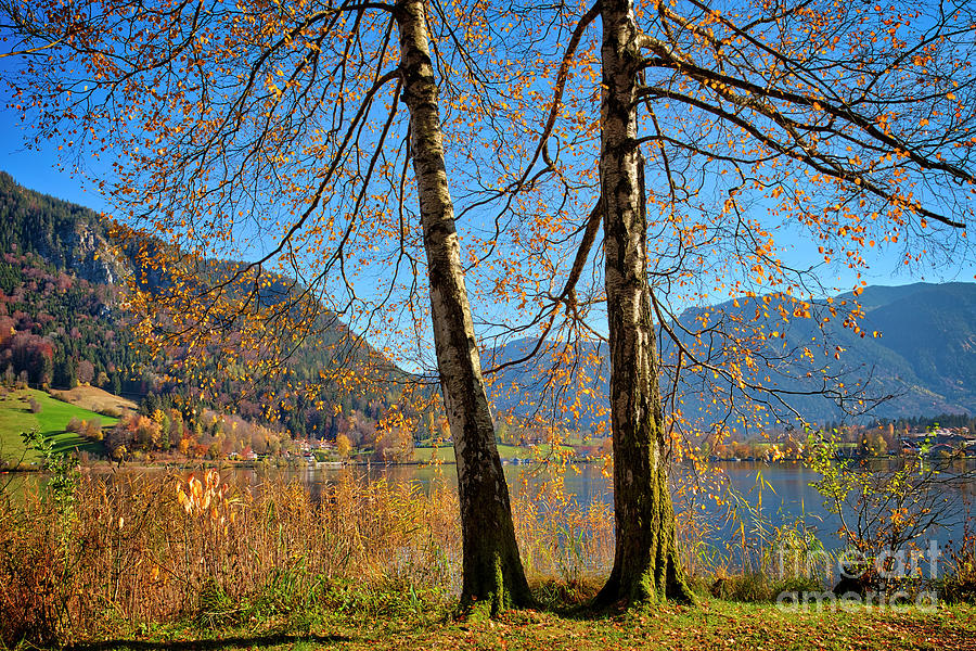 Fall at Schliersee Photograph by Edmund Nagele FRPS