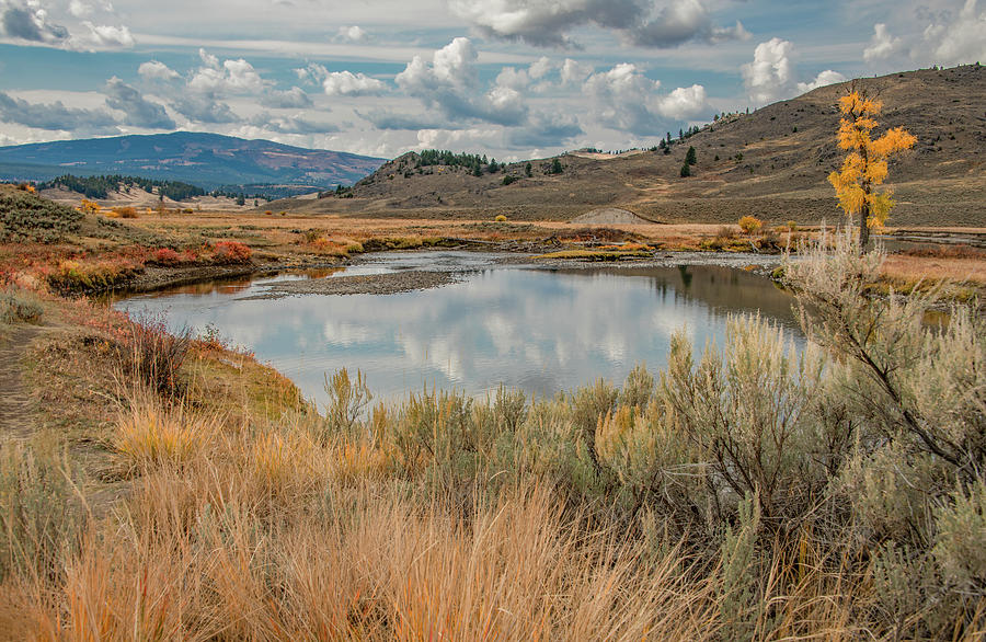 Fall at Slough Creek, Yellowstone Photograph by Marcy Wielfaert