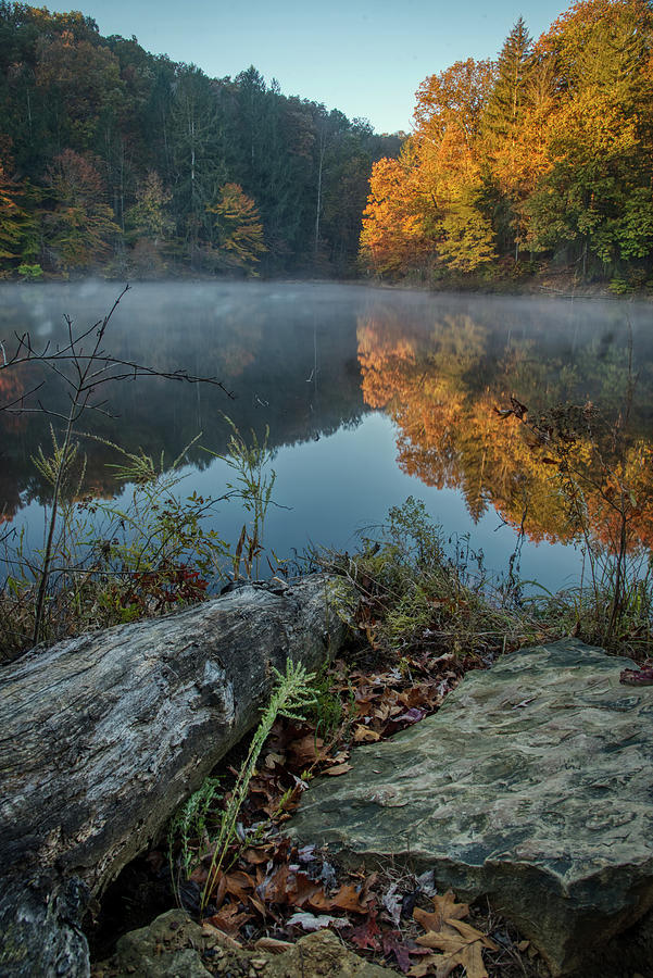 Fall at Strahl Lake 2 Photograph by Norberto Nunes