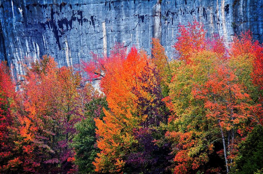 Fall at the Bluff Photograph by Marty Koch