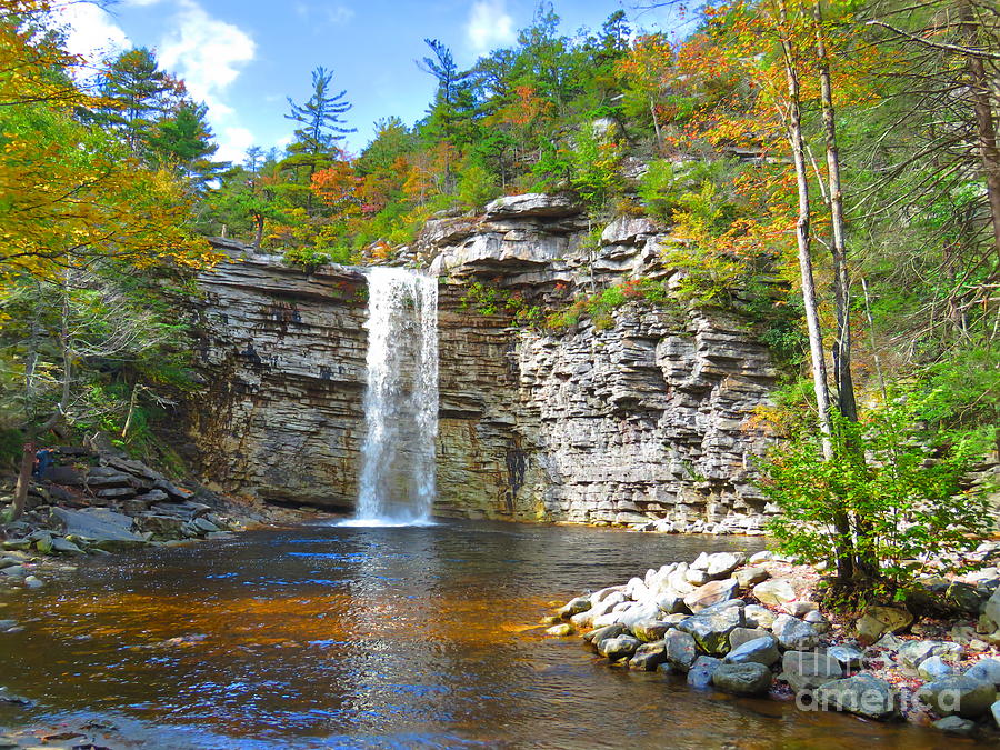 Fall at the Falls Photograph by Maxine Kamin