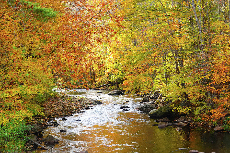Fall at the Pigeon River 2 Photograph by Mike McGlothlen