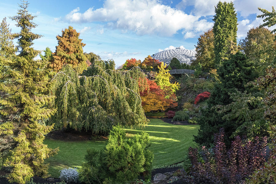 Fall at the Quarry Gardens in Queen Elizabeth Park  Photograph by Michael Russell