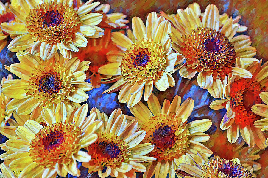 Fall Autumn Color Mum Garden Digital Art by Gaby Ethington