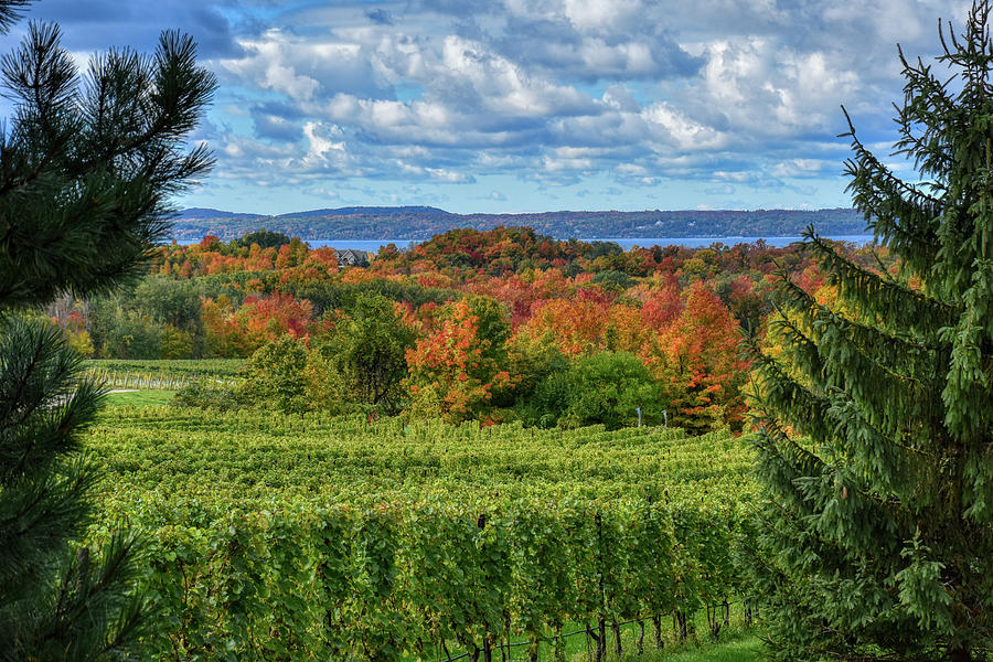 Fall Awesomeness Photograph by Tom Crook Fall Awesomeness Photograph by Tom Crook