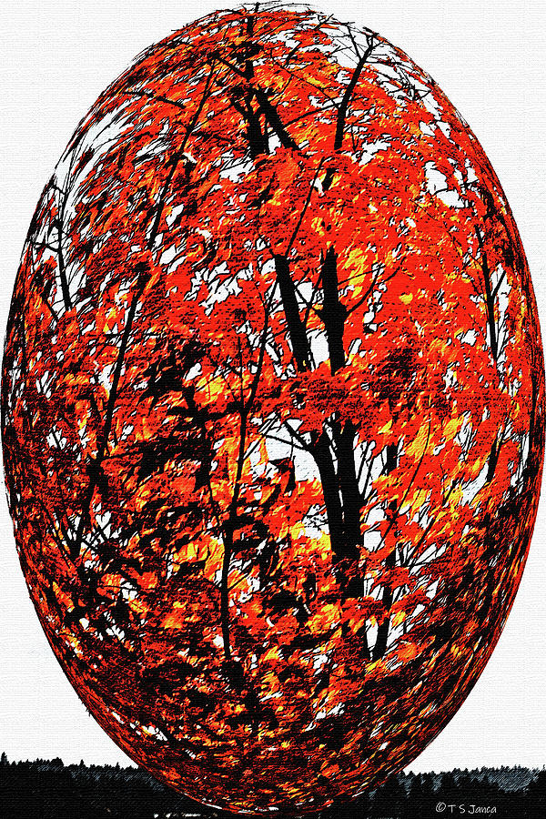 Fall Ball Digital Art by Tom Janca