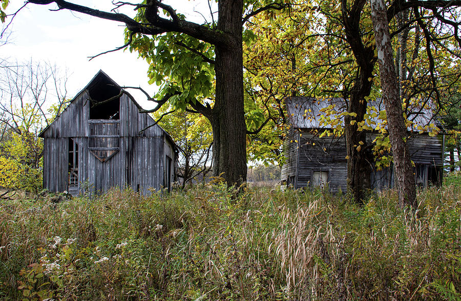 Fall Barns Photograph