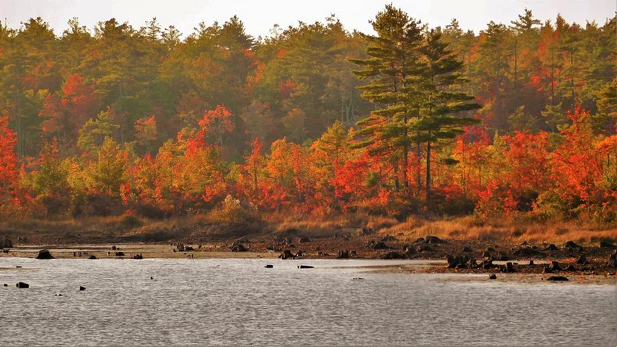 - Fall - Barrington NH Photograph by - Theresa Nye