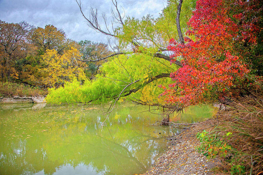 Fall Beauty Along Cibolo Creek Photograph by Lynn Bauer