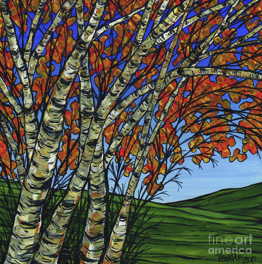 Fall Birch Stand Painting by Tracy Levesque