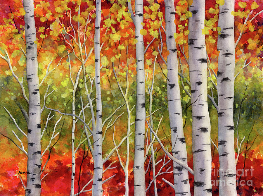 Fall Birch Trees Painting