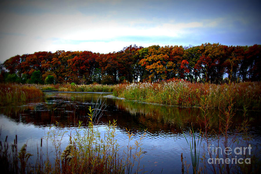 Fall Bloom at the Prairie Water - Lomography  Photograph by Frank J Casella