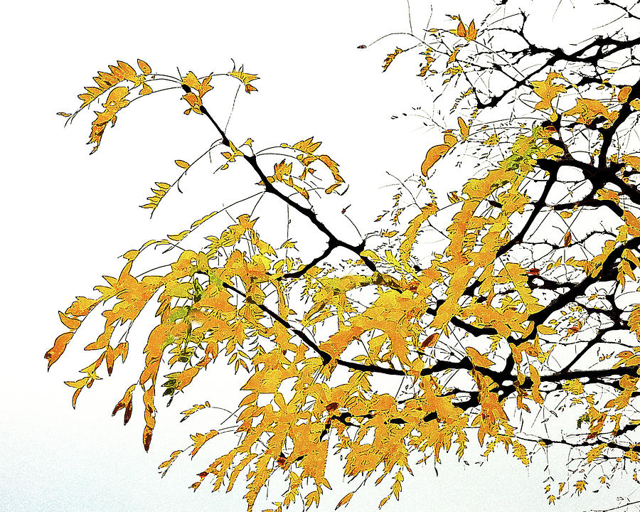 Locust Branch with Yellow Leaves Mixed Media by George Harth