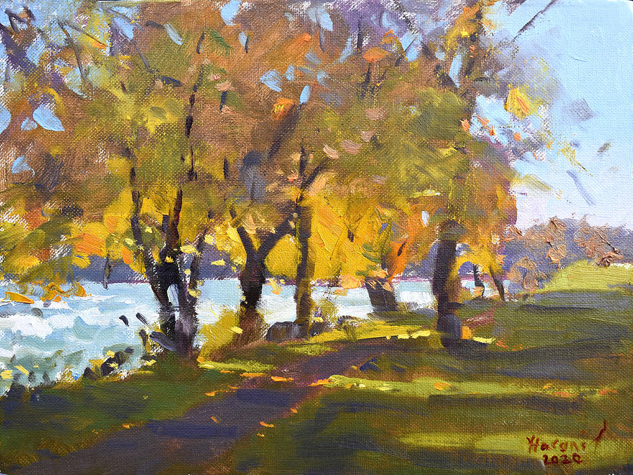 Fall Painting - Fall by Niagara River by Ylli Haruni