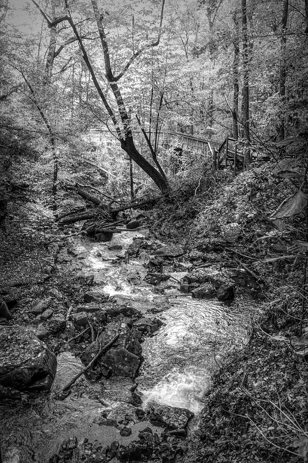 Fall Cascades at Cloudland Canyon Black and White Photograph by Debra and Dave Vanderlaan