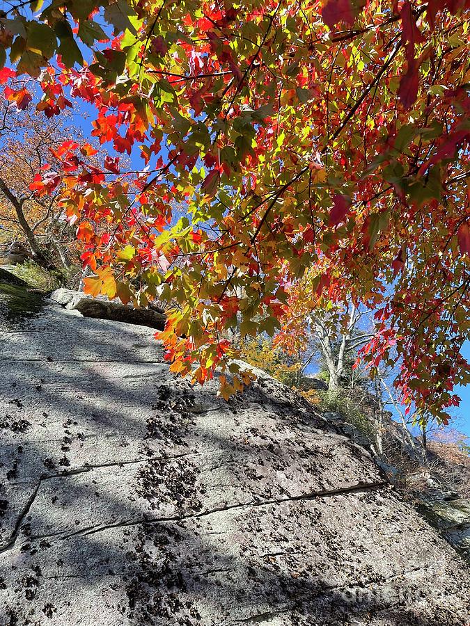 Fall @Chimney Rock 1 Photograph by Buffy Heslin